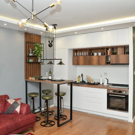 Apartment Mirror With Private Parking Novi Sad